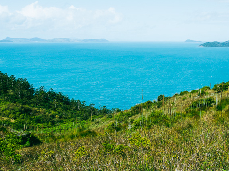 _0000_Portland Roads - Whitsundays - Boat Hire - Luxury-228